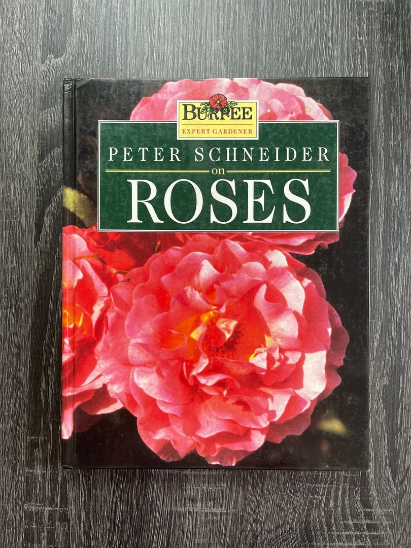 Peter Schneider on Roses