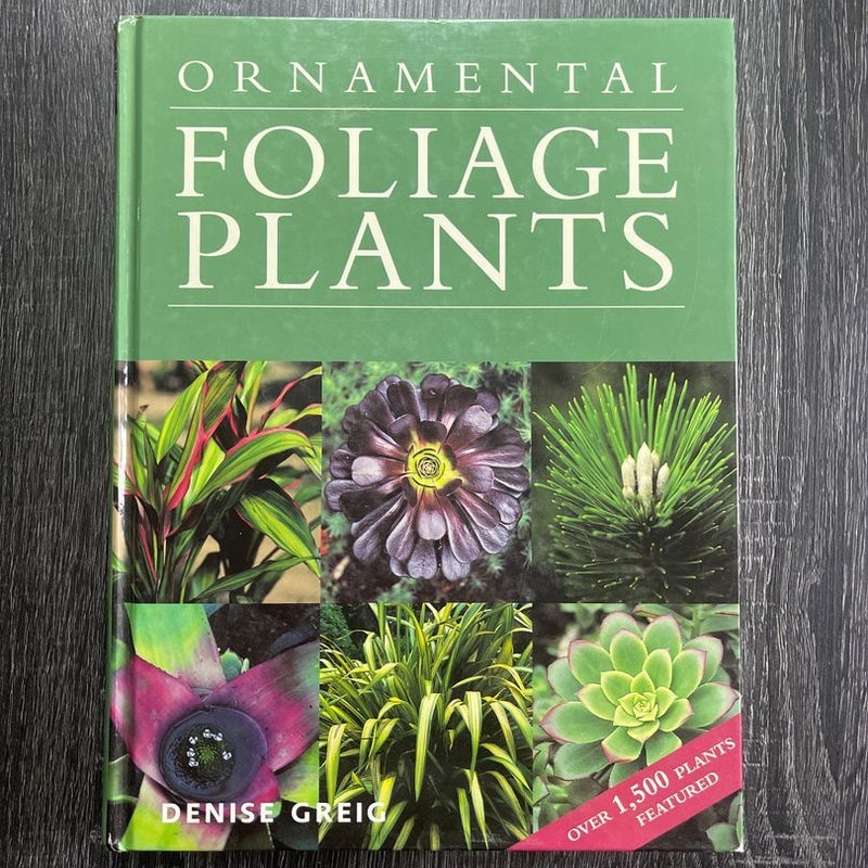 Ornamental Foliage Plants