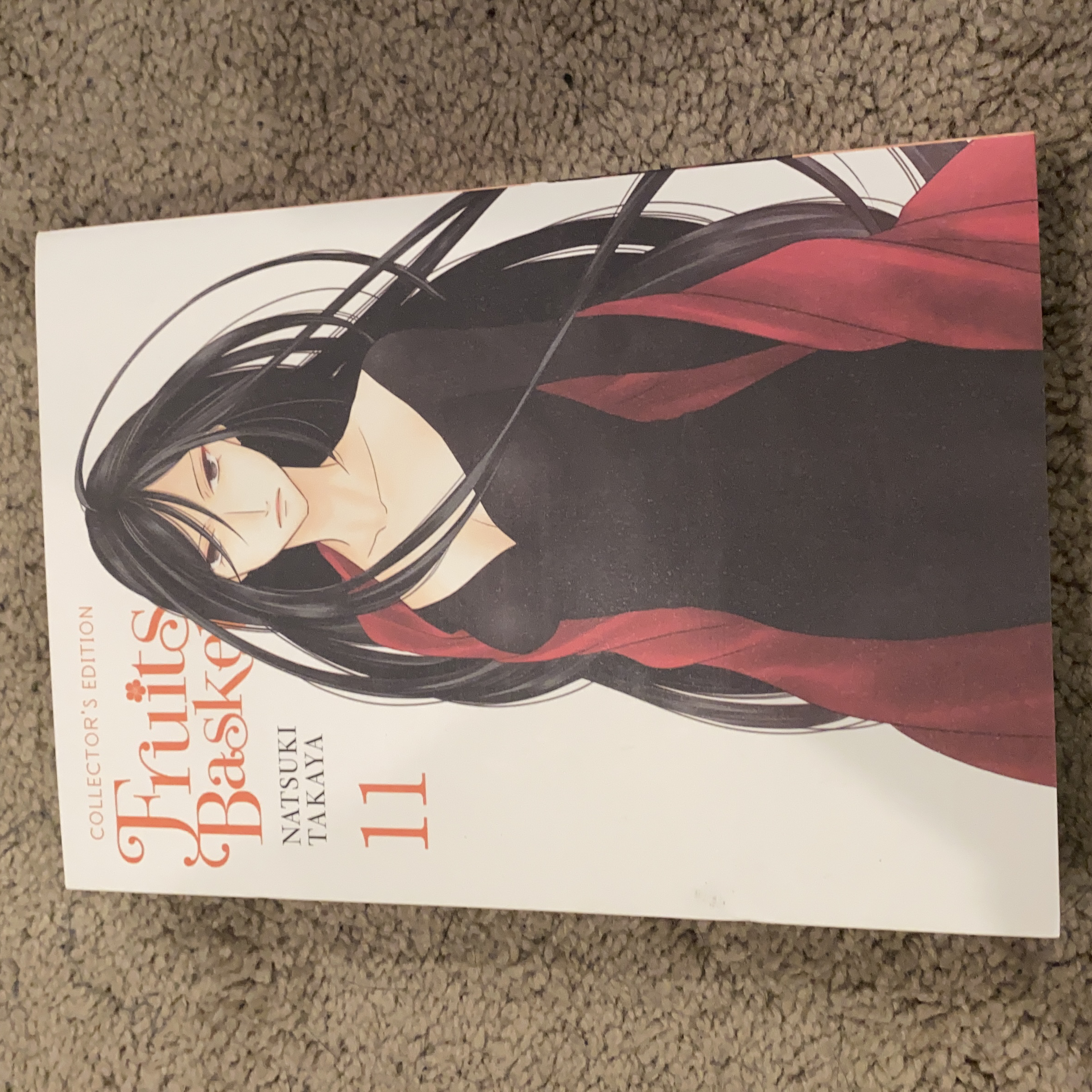 Fruits Basket Collector's Edition, Vol. 11
