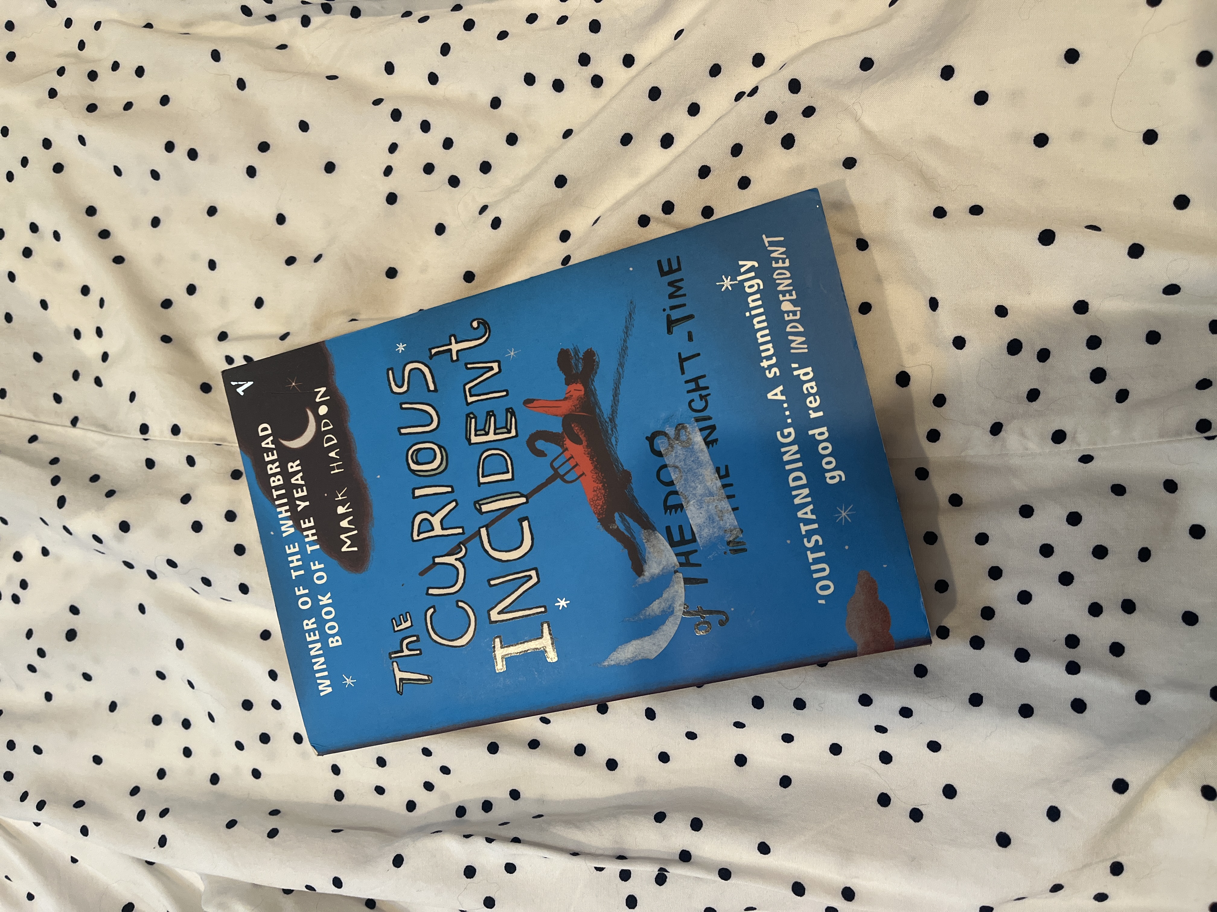 The Curious Incident of the Dog in the Night-Time