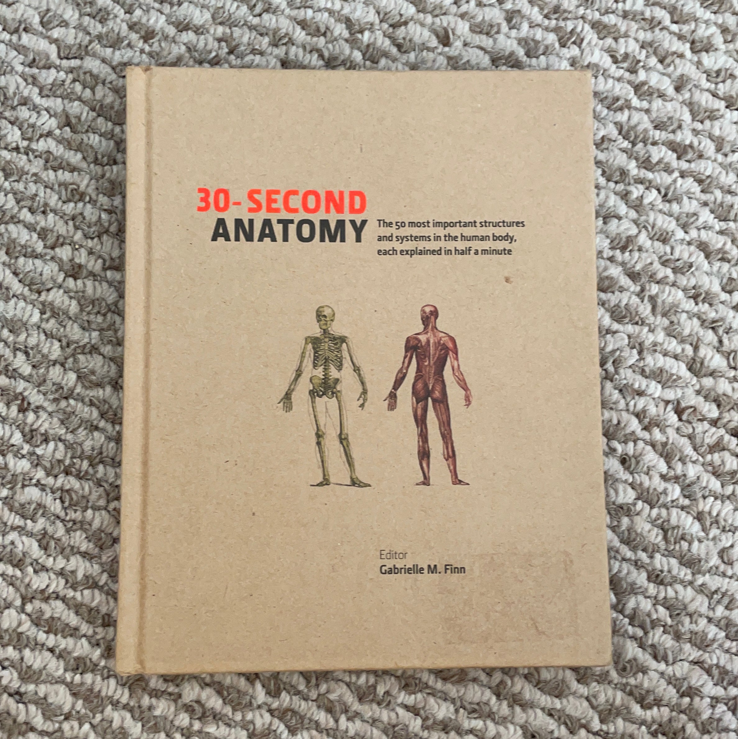 30-Second Anatomy