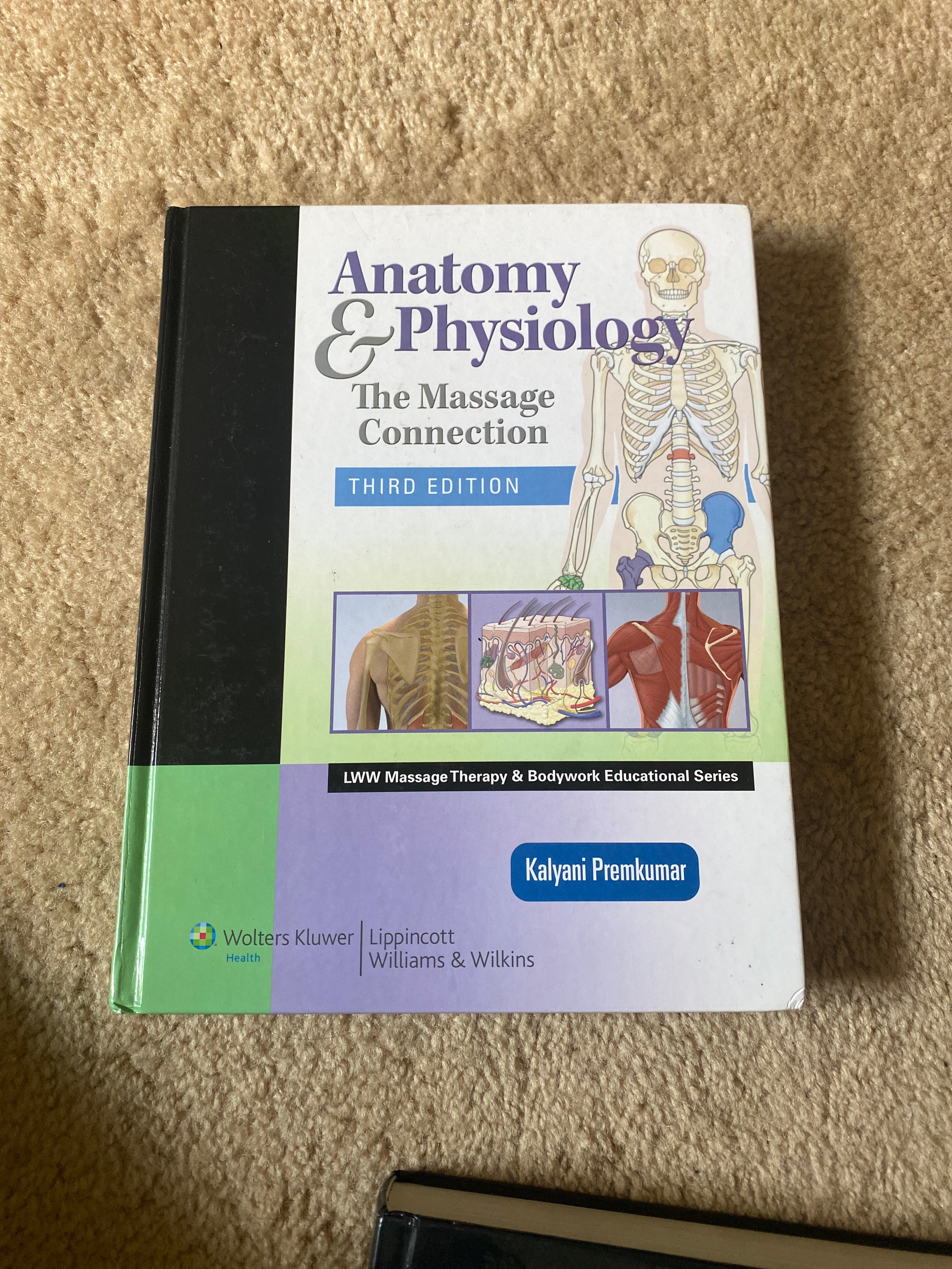 Anatomy and Physiology