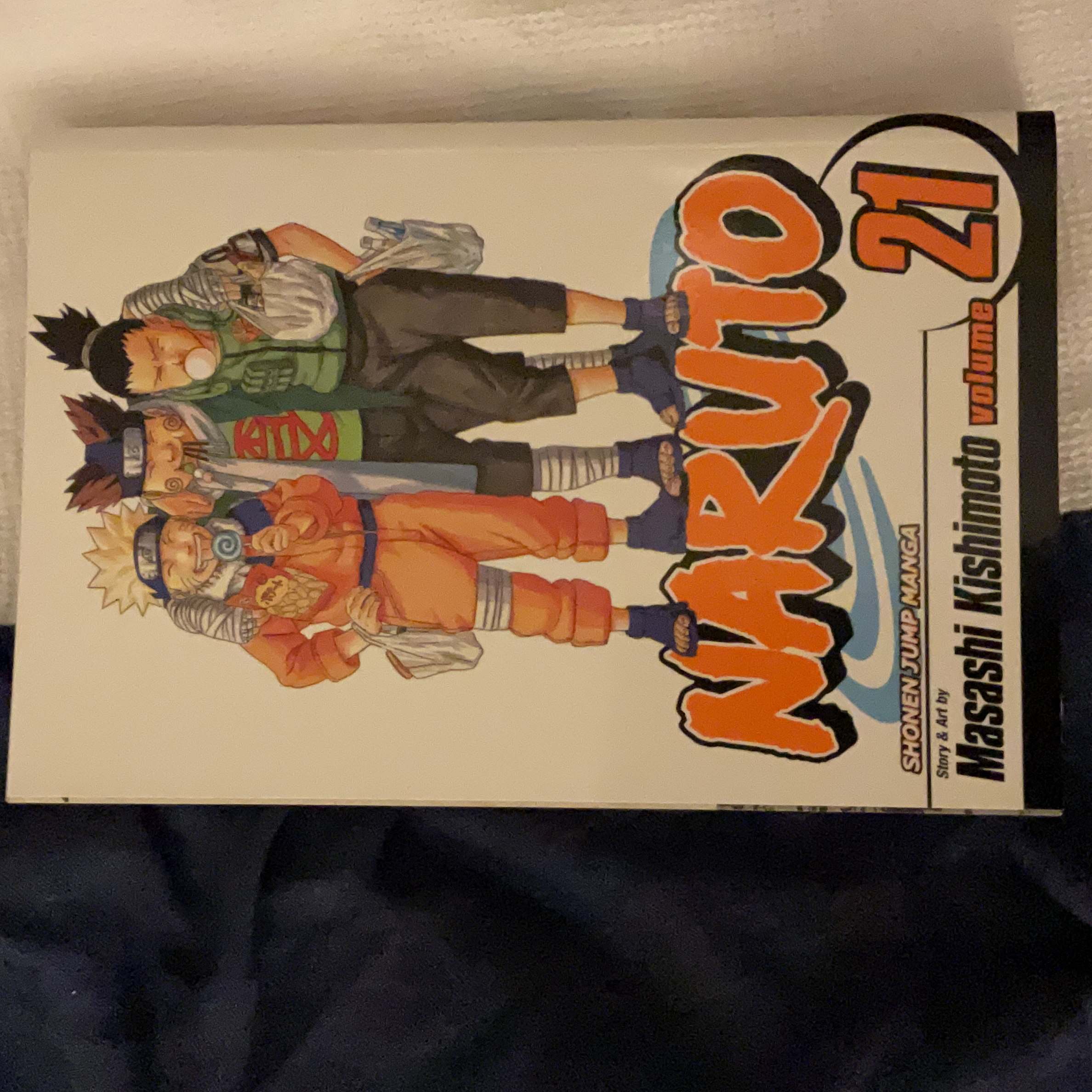 Naruto, Vol. 21