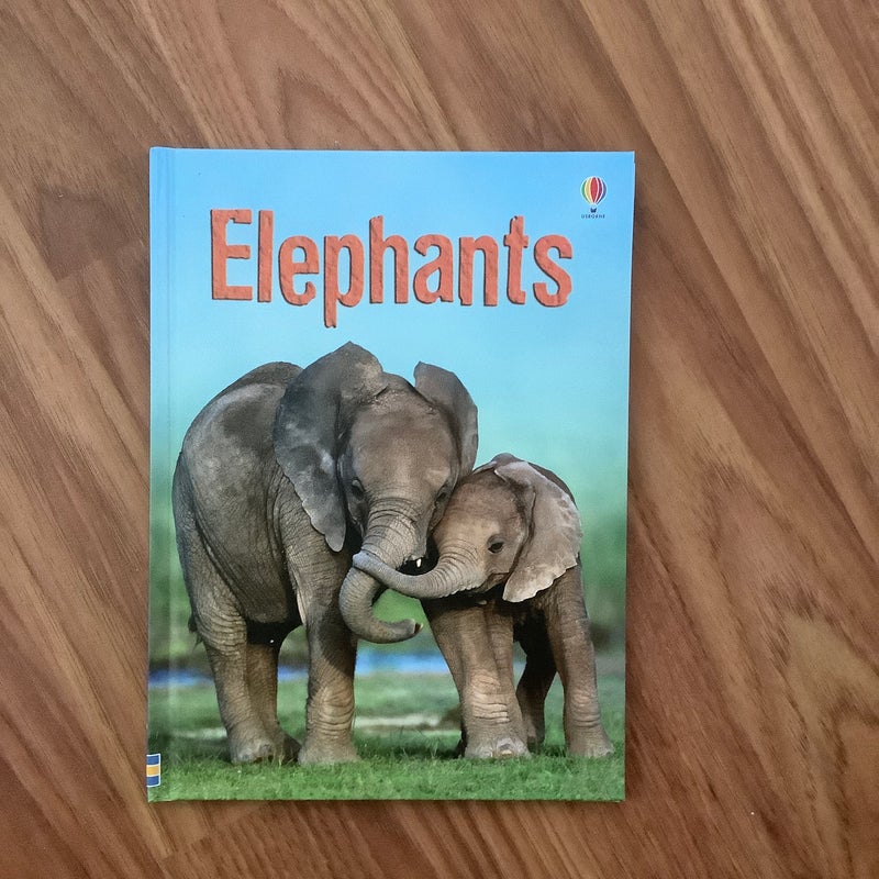 Elephants IR