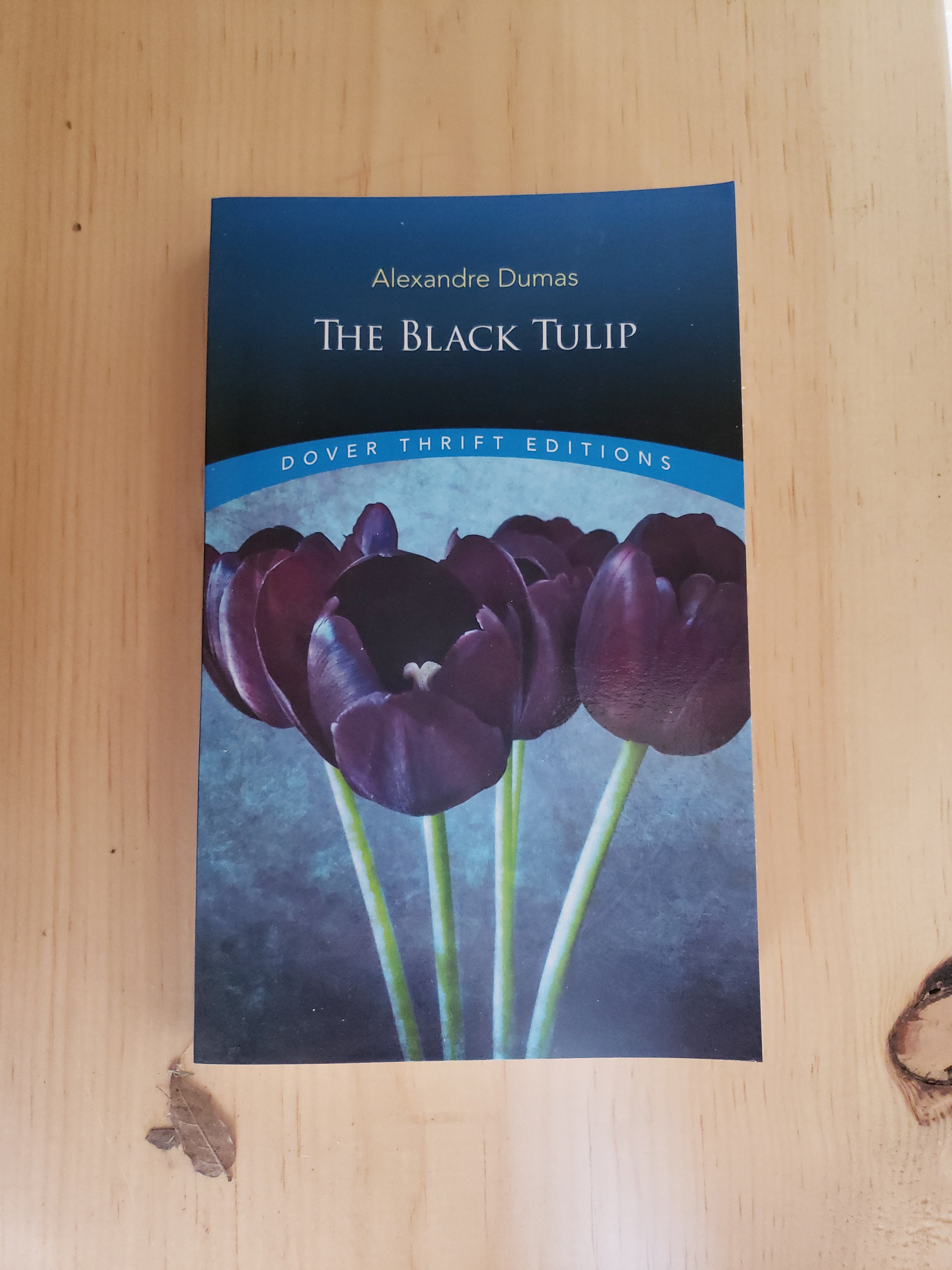 The Black Tulip