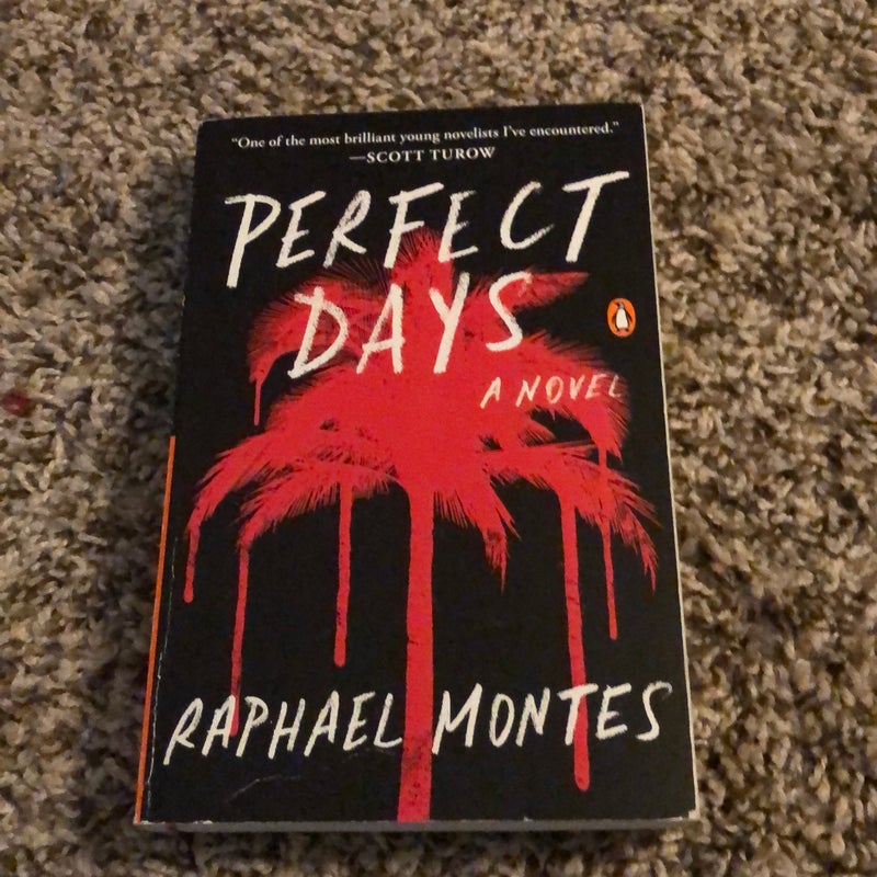 Perfect Days