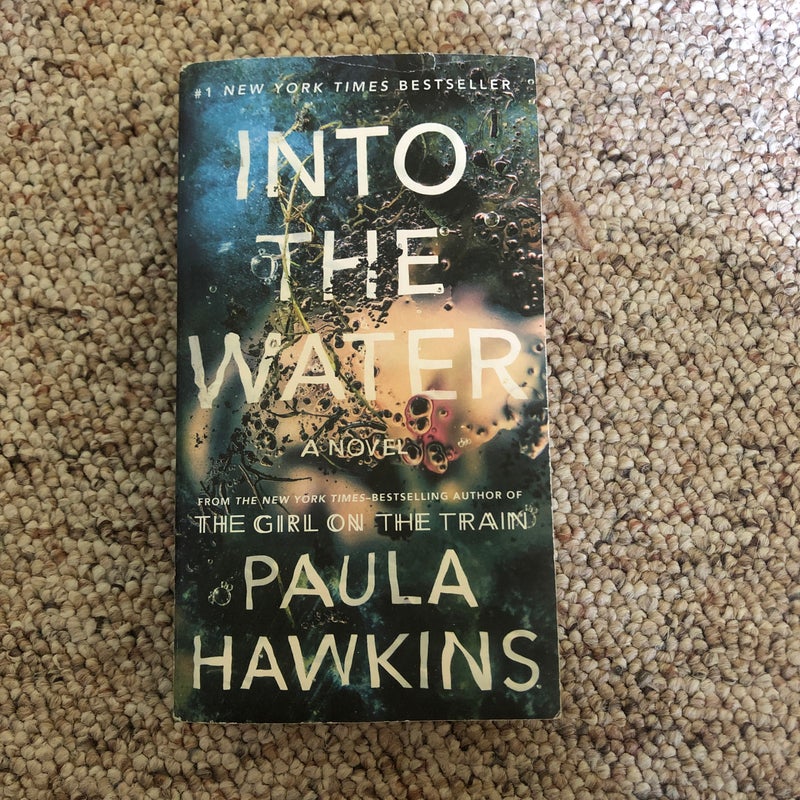 Into the Water