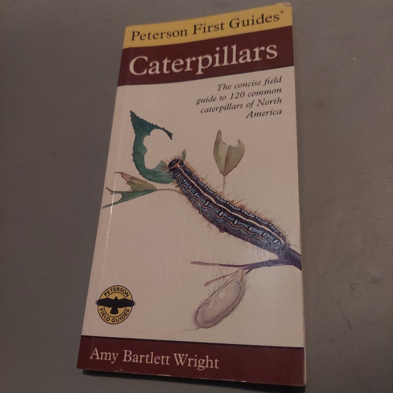 Peterson First Guide to Caterpillars of North America