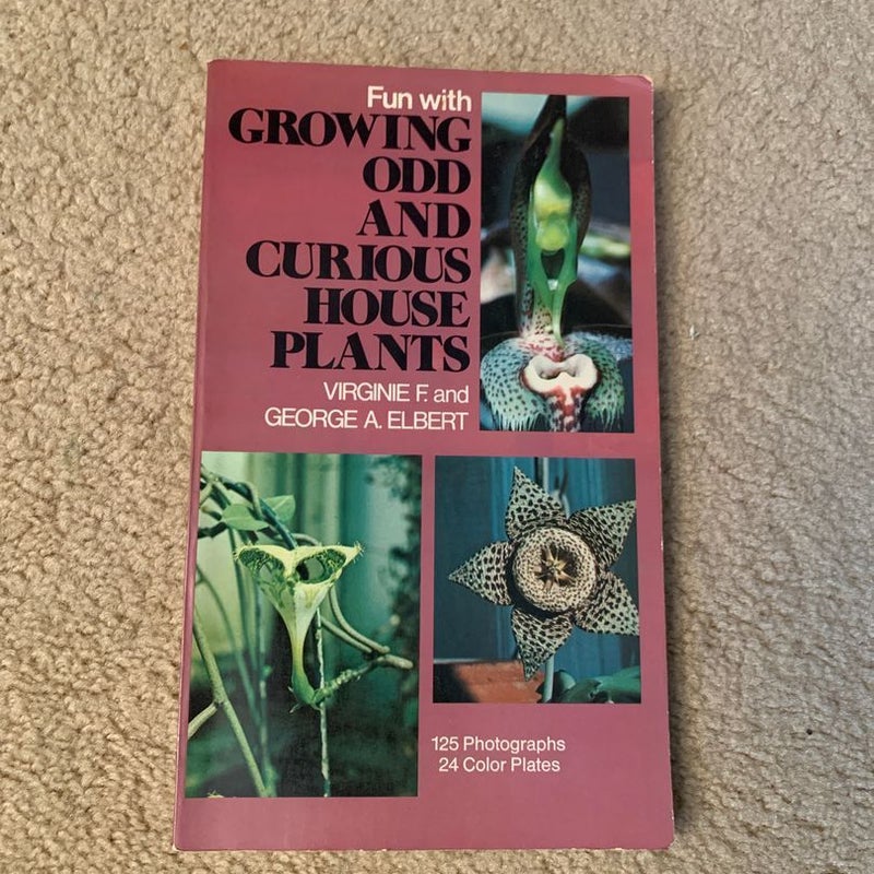 Fun with Growing Odd and Curious House Plants