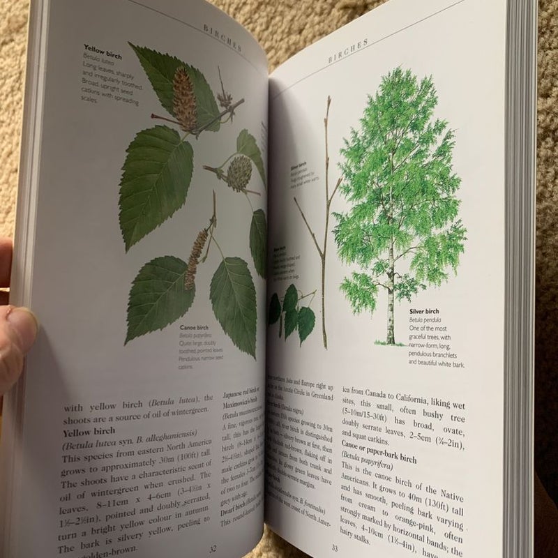 The Illustrated Book of Trees