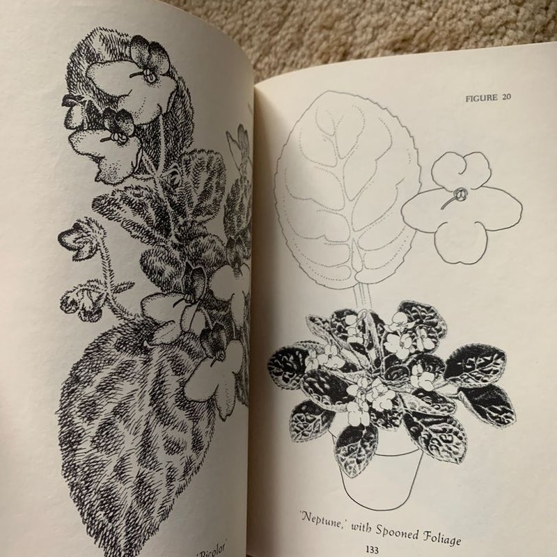 African Violet Book