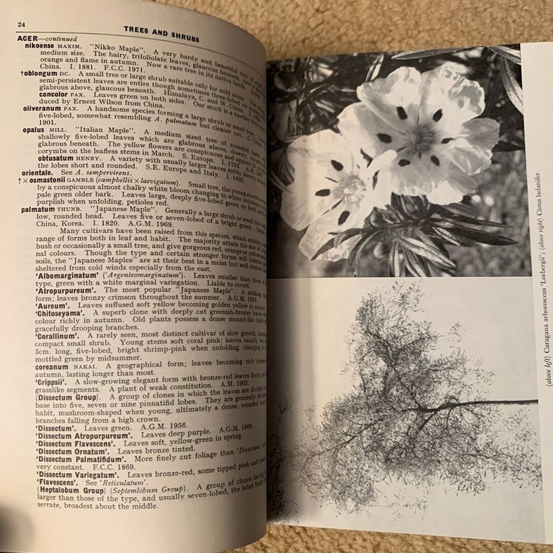 Hillier's Manual of Trees and Shrubs