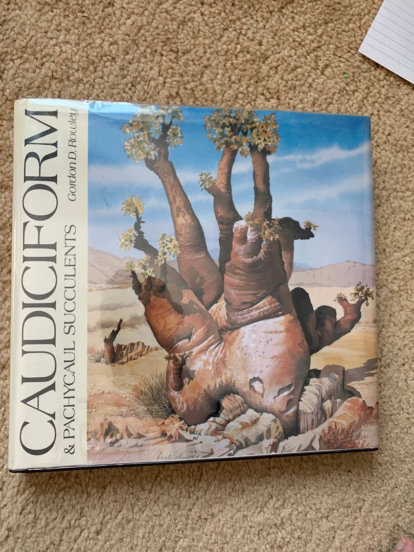 Candiciform and Pachycaul Succulents by Gorden Rowley