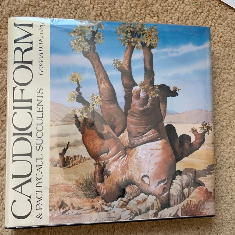 Caudiciform and Pachycaul Succulents 洋書 Caudiciform and Pachycaul Succulents: Pachycauls, Bottle