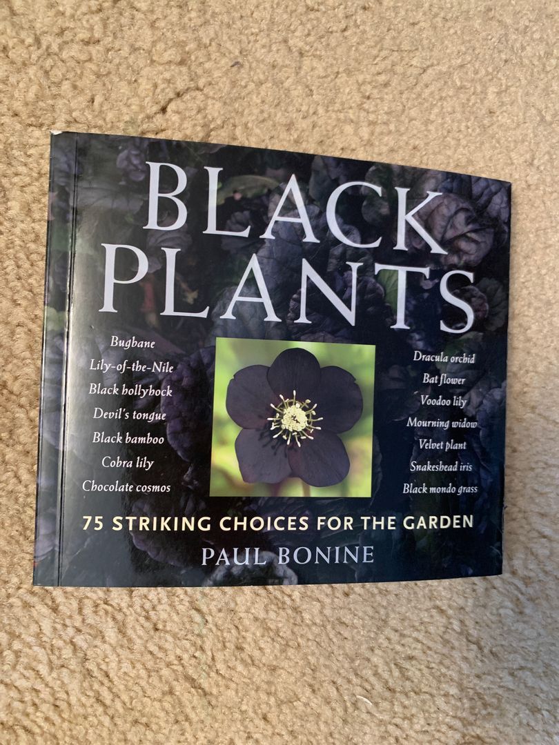 Black Plants