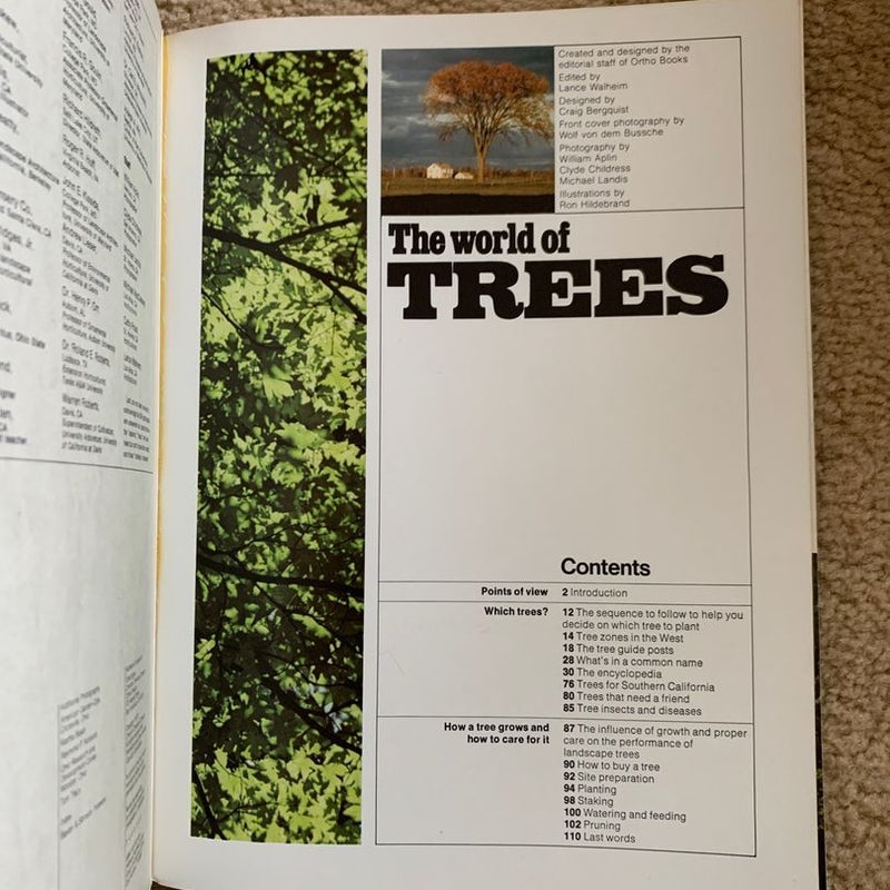 The World of Trees