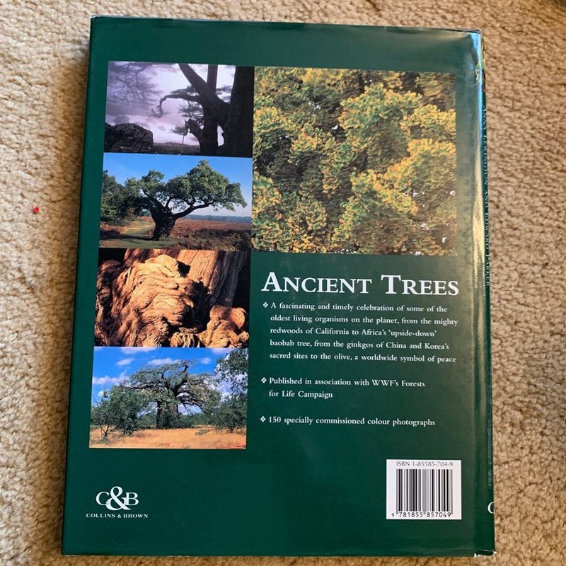 Ancient Trees