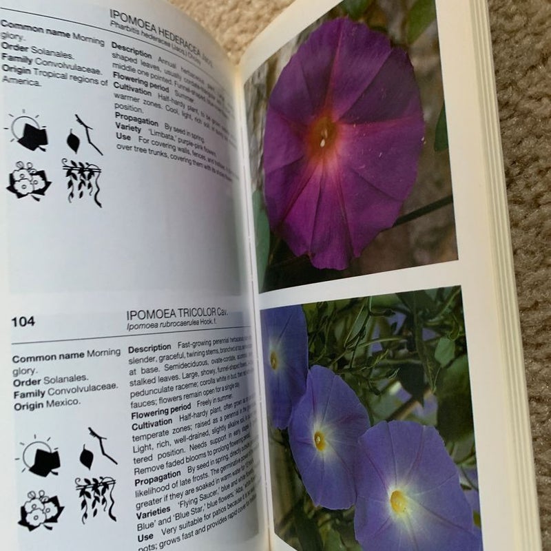 Simon and Schuster's Guide to Climbing Plants