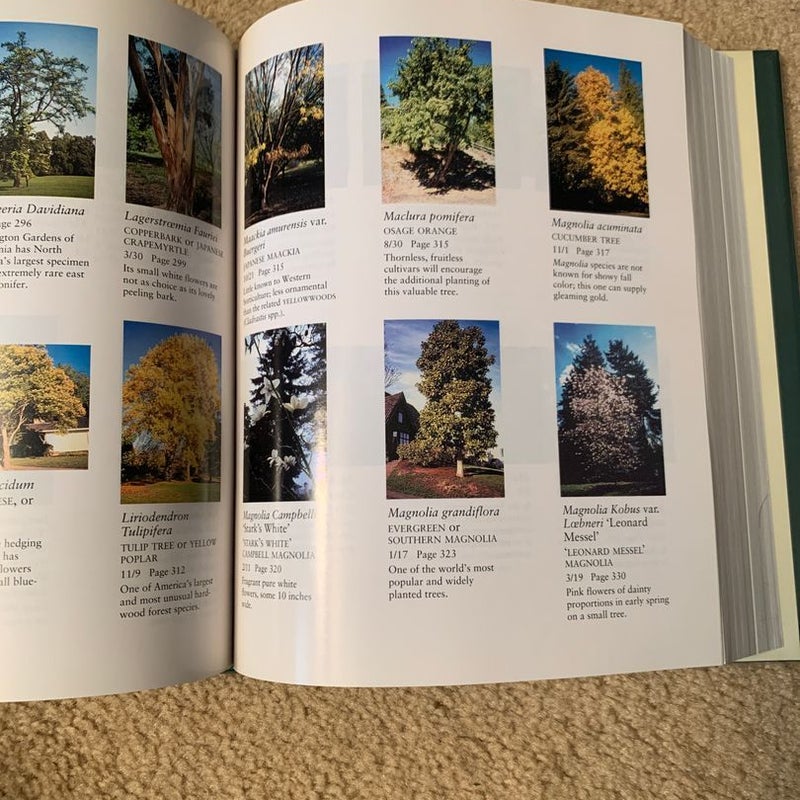 North American Landscape Trees
