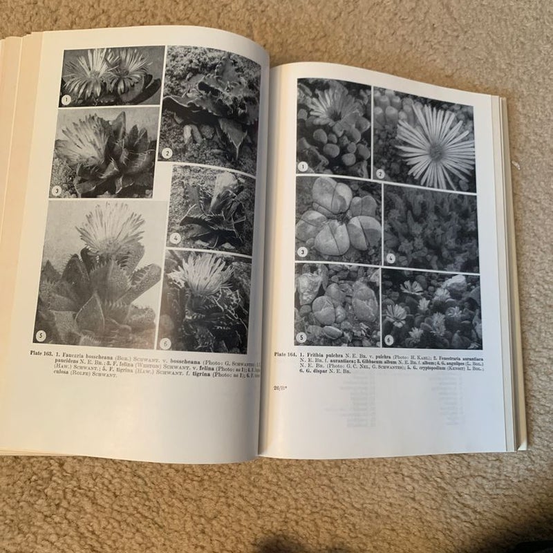 Lexicon of Succulent Plants