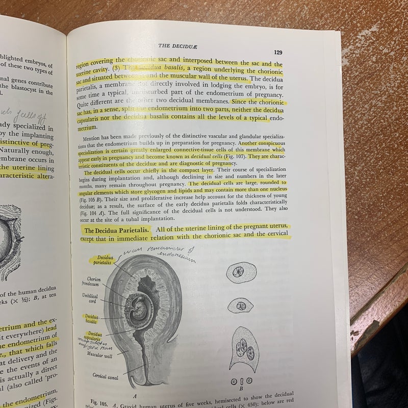 Developmental Anatomy 7th edition revised