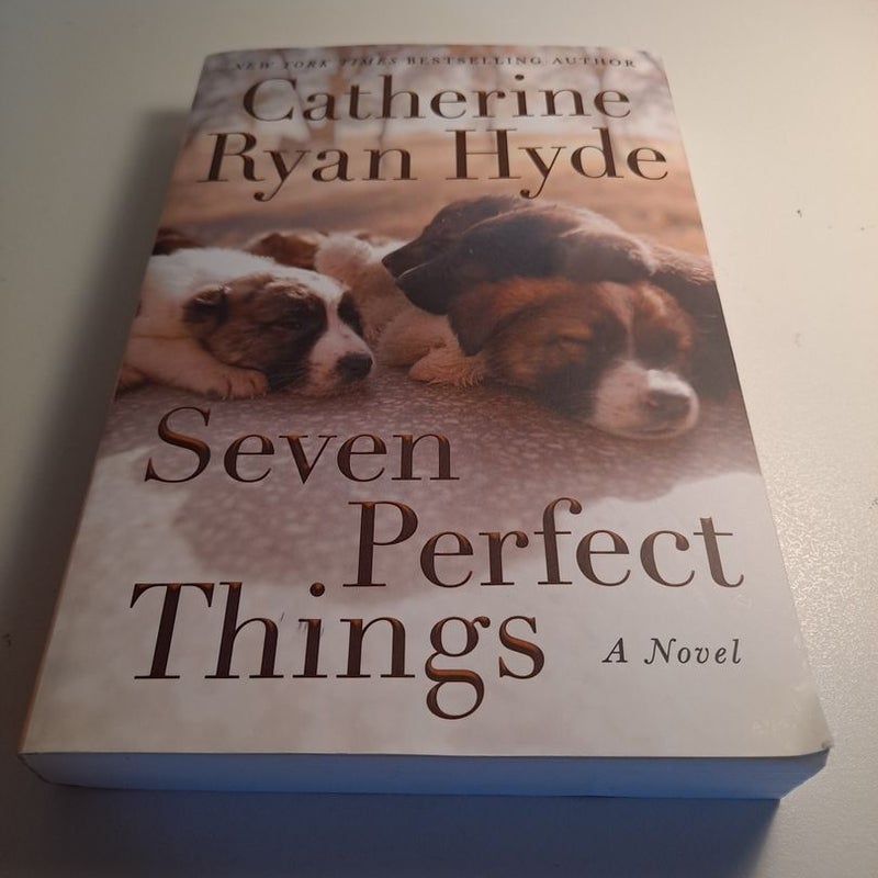 Seven Perfect Things