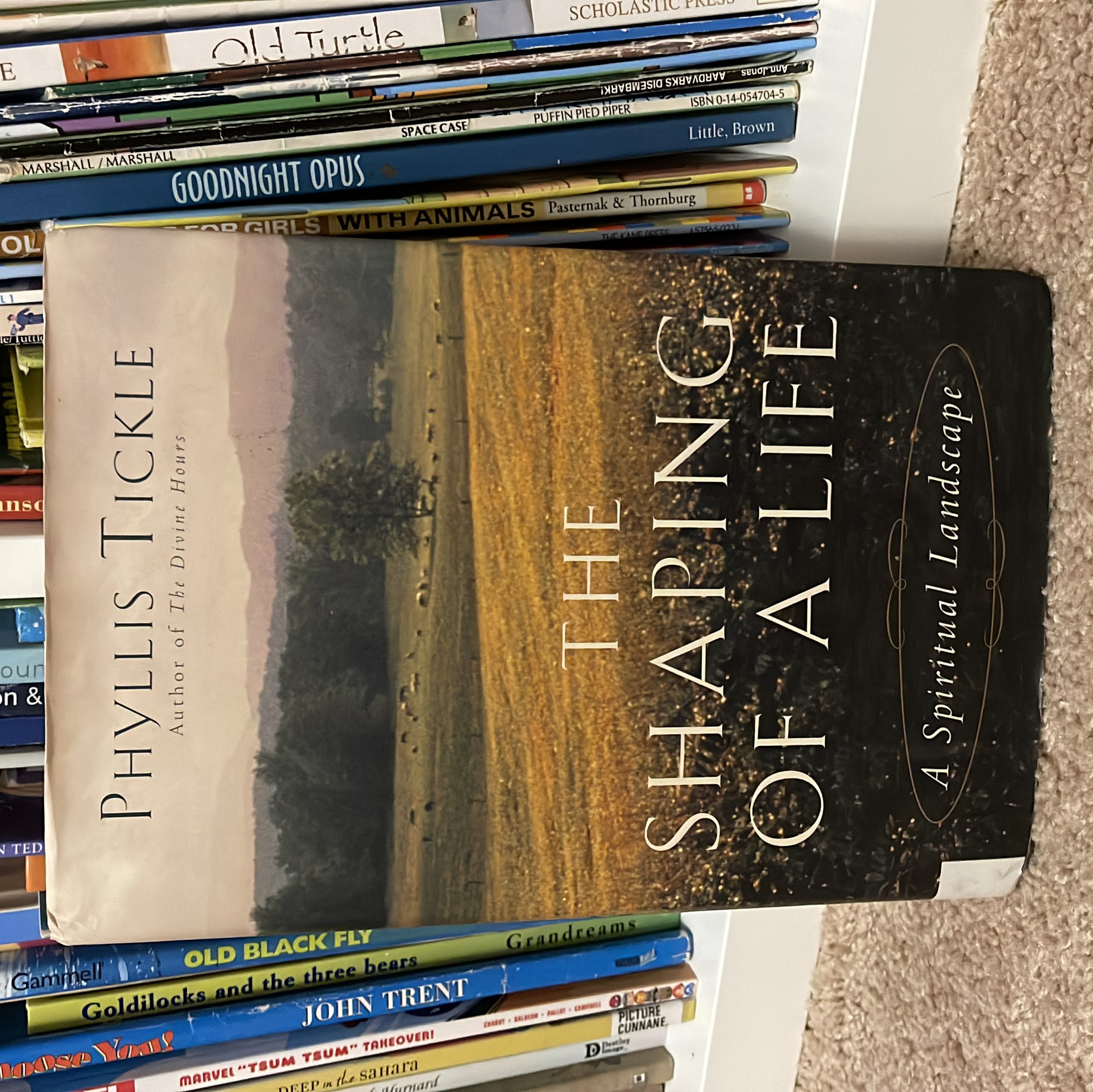 The Shaping of a Life