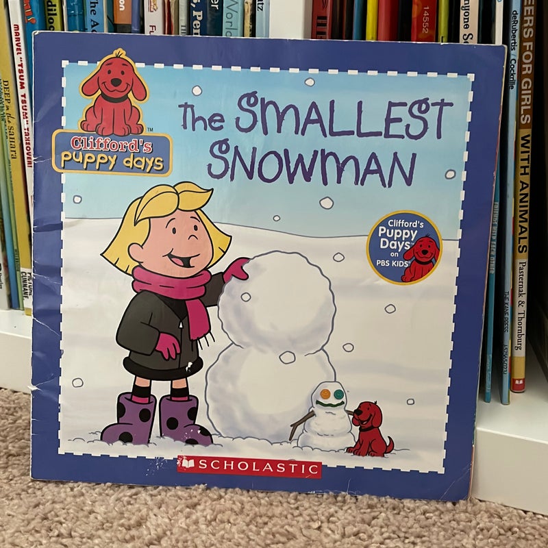 The Smallest Snowman