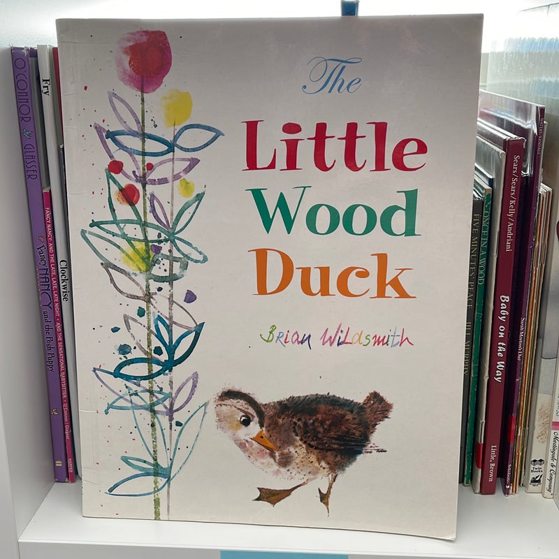 The Little Wood Duck