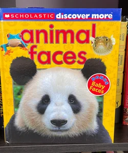 Scholastic Discover More: Animal Faces