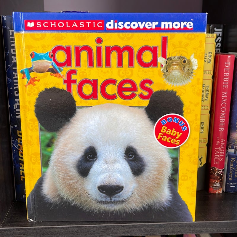 Scholastic Discover More: Animal Faces