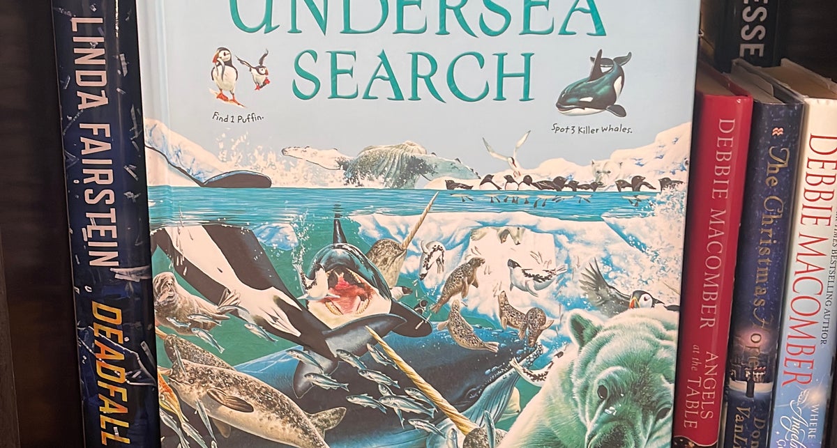 洋書 Usborne Pub Ltd Paperback Usborne The Great Undersea Search