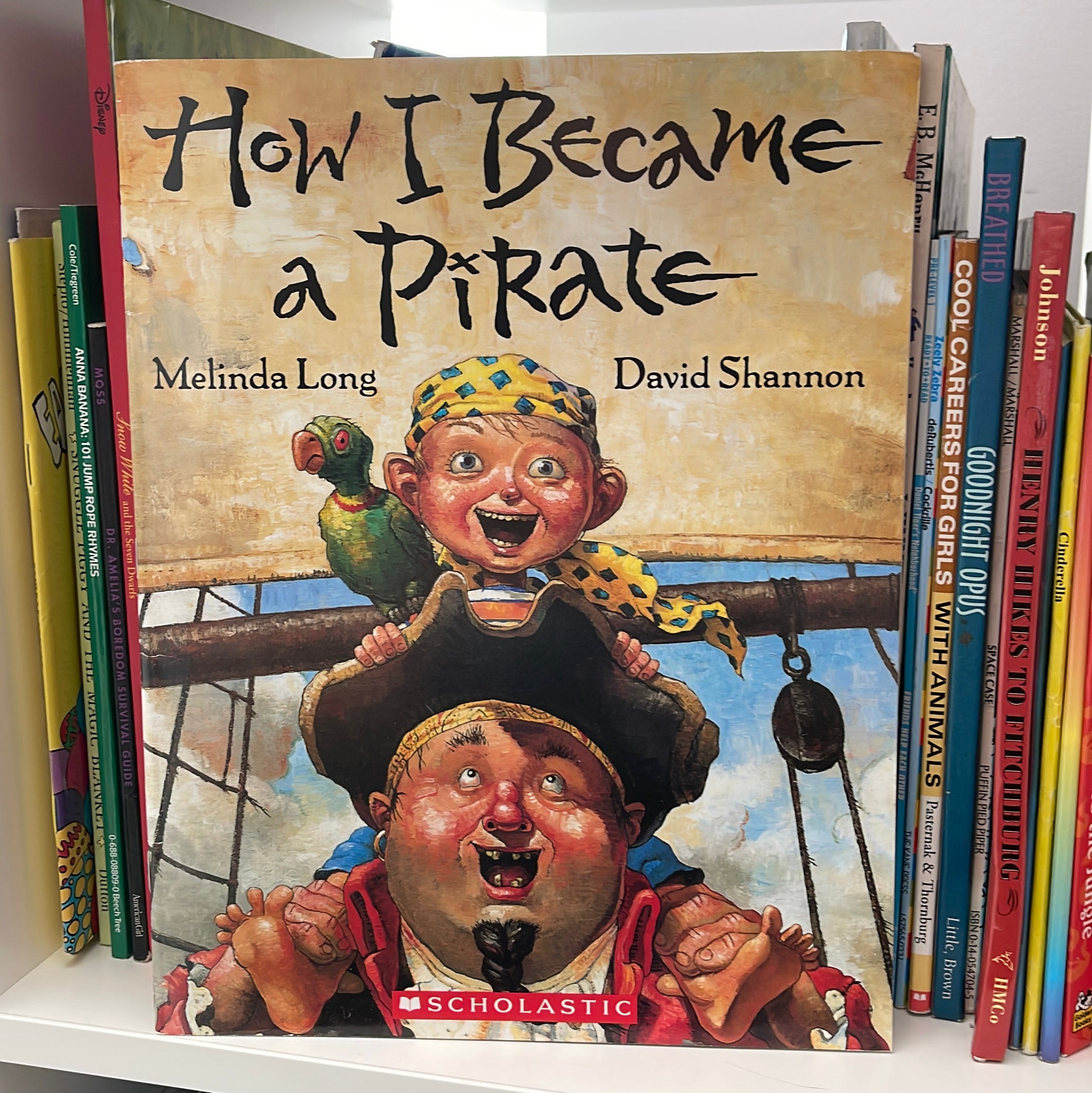 How I Became A Pirate