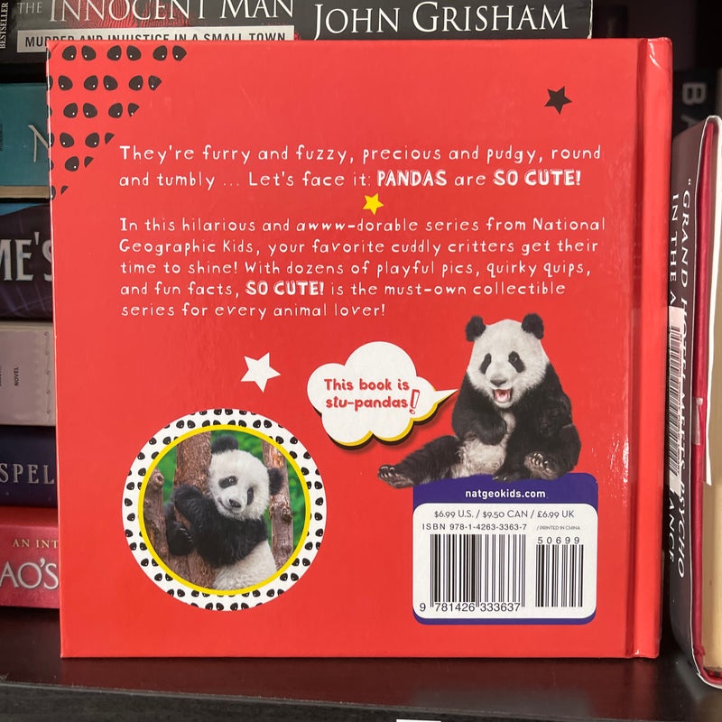 So Cute! Pandas