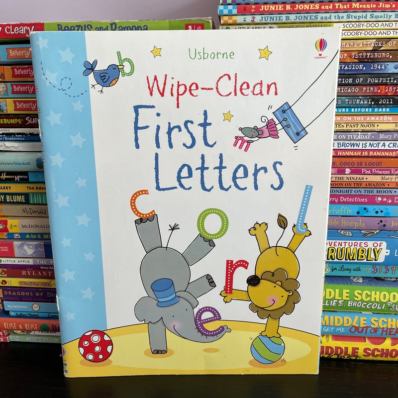 Usborne Wipe Clean First Letters