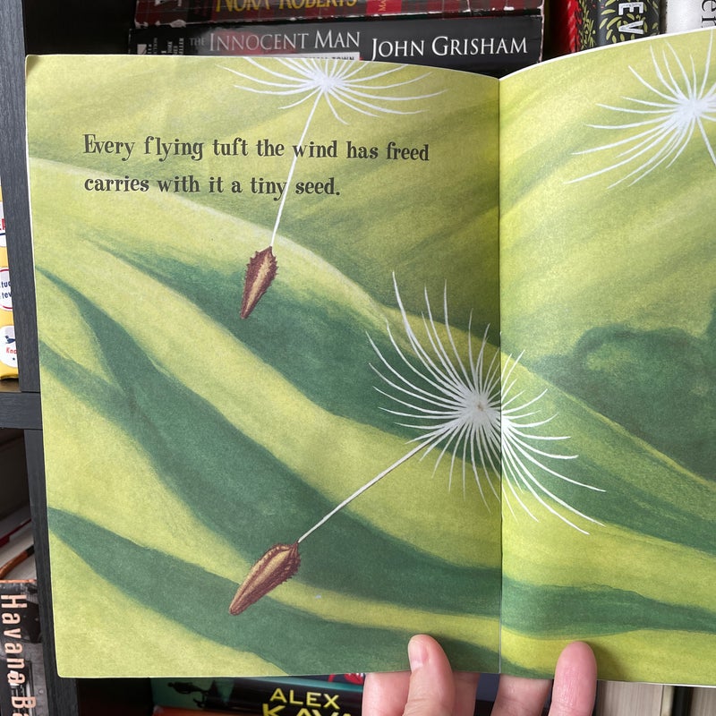 Dandelions, Stars in the Grass