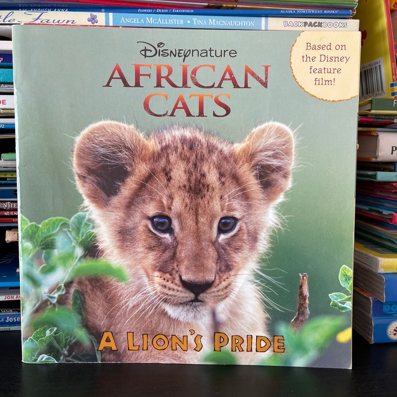 African Cats a Lion's Pride