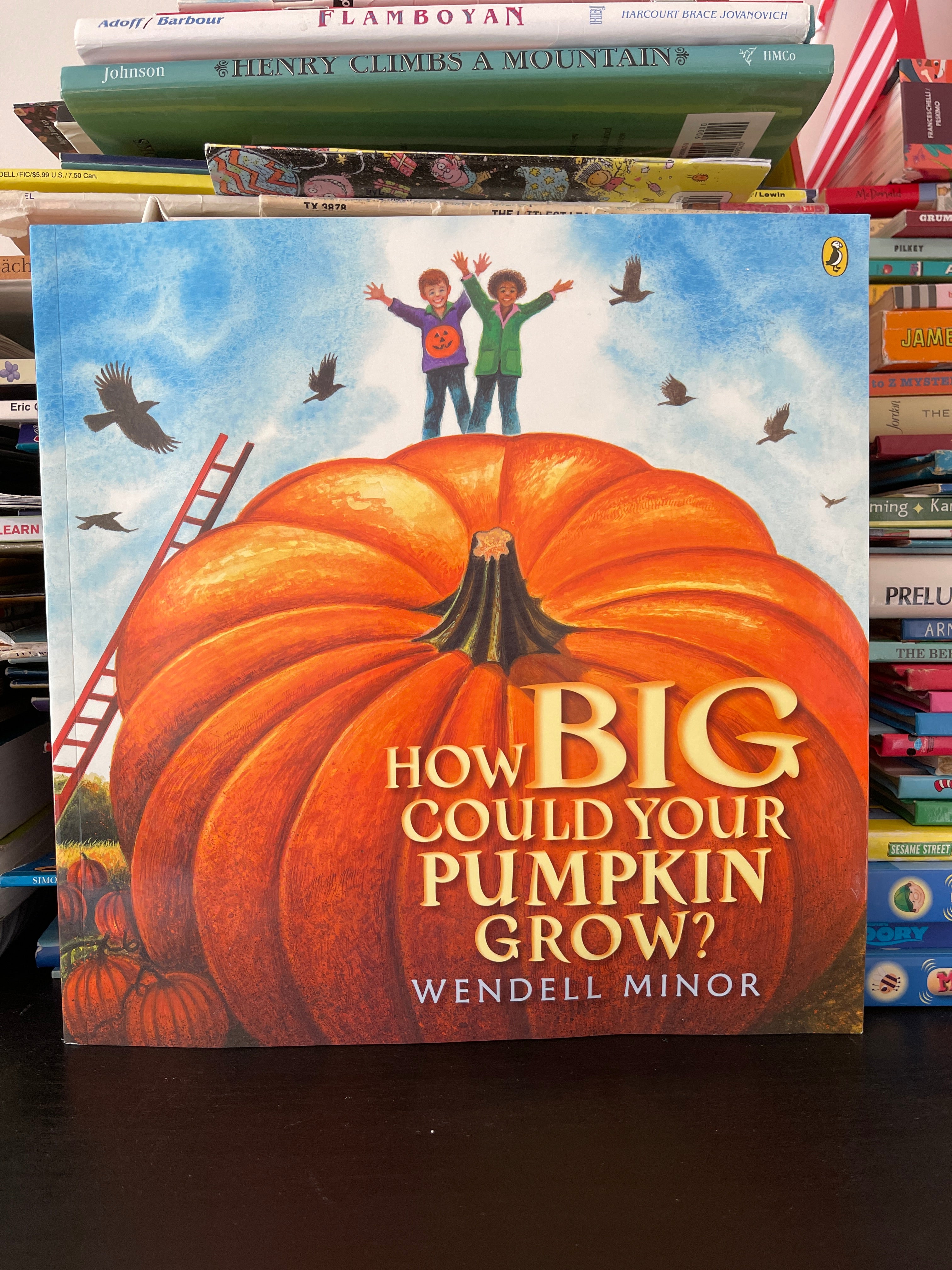 How Big Could Your Pumpkin Grow?