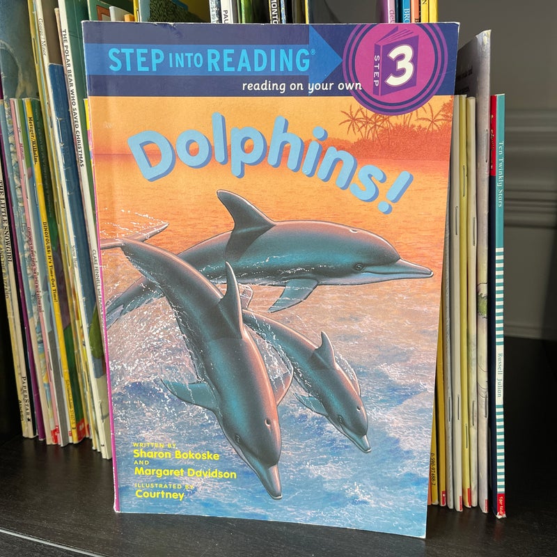 Dolphins!