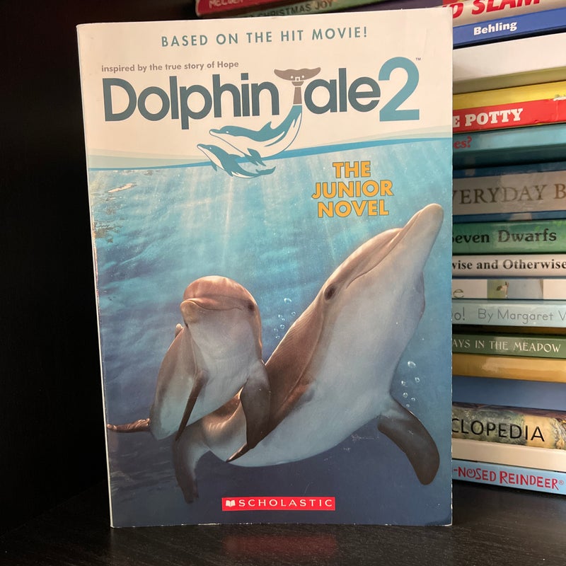 Dolphin Tale 2