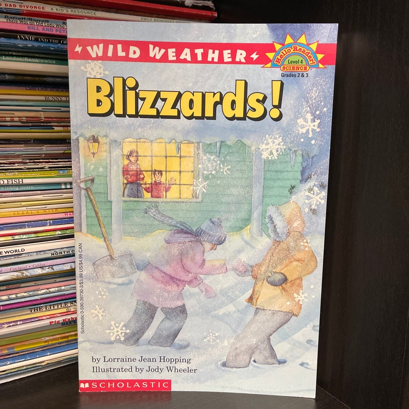 Wild Weather, Blizzards