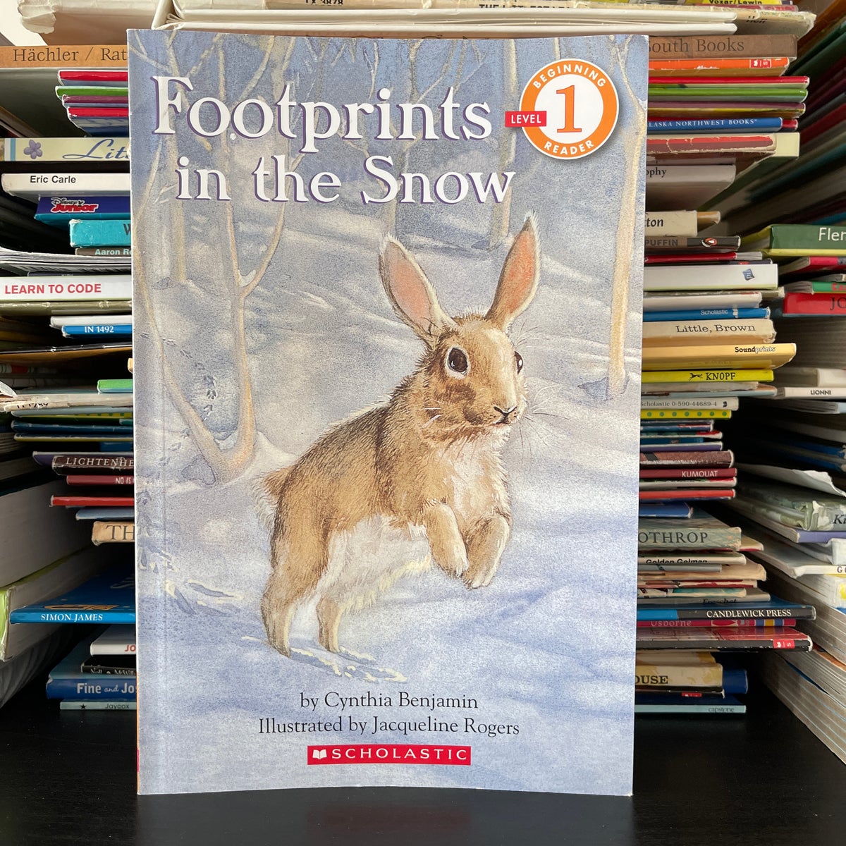 Footprints in the Snow by Cynthia Benjamin, Paperback Pangobooks