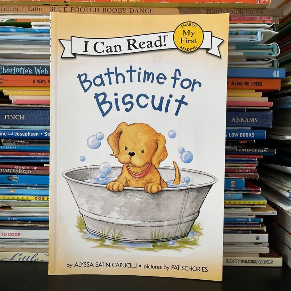 Bathtime for Biscuit by Alyssa Satin Capucilli