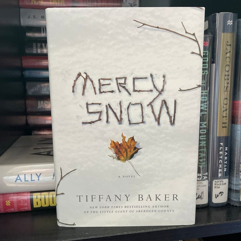 Mercy Snow