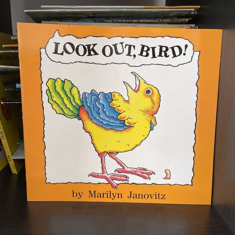 Look out Bird! Little Book
