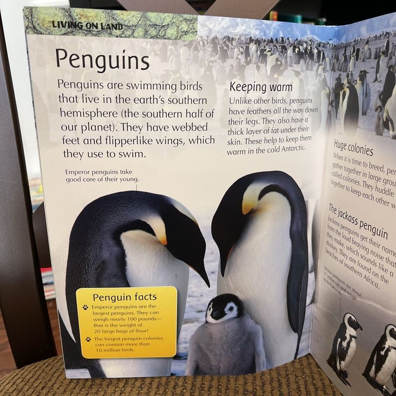 Children’s Animal Encyclopedia