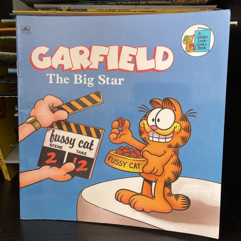 Garfield The Big Star