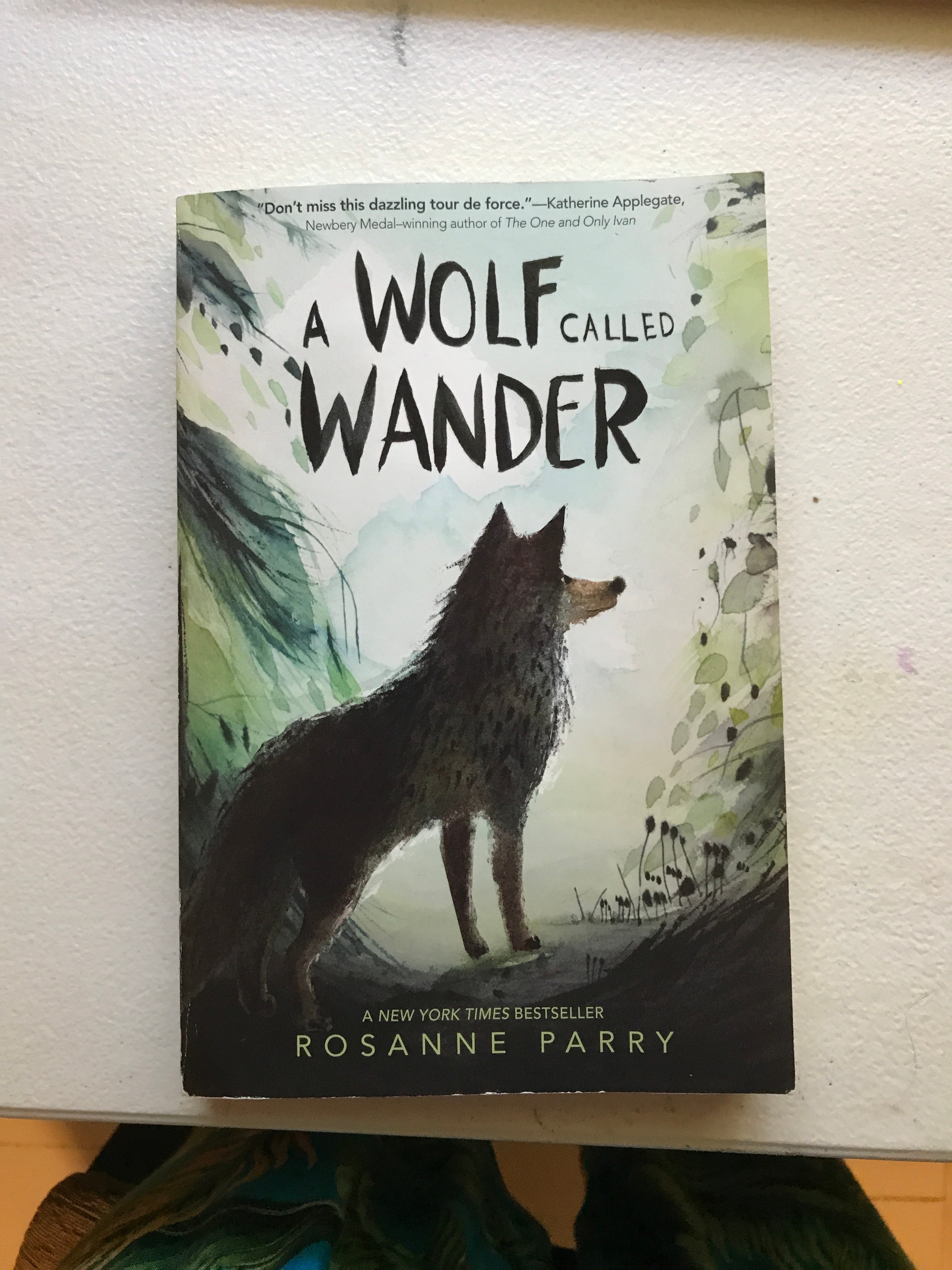 A Wolf Called Wander