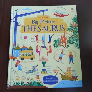 Big Picture Thesaurus IR