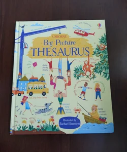 Big Picture Thesaurus IR